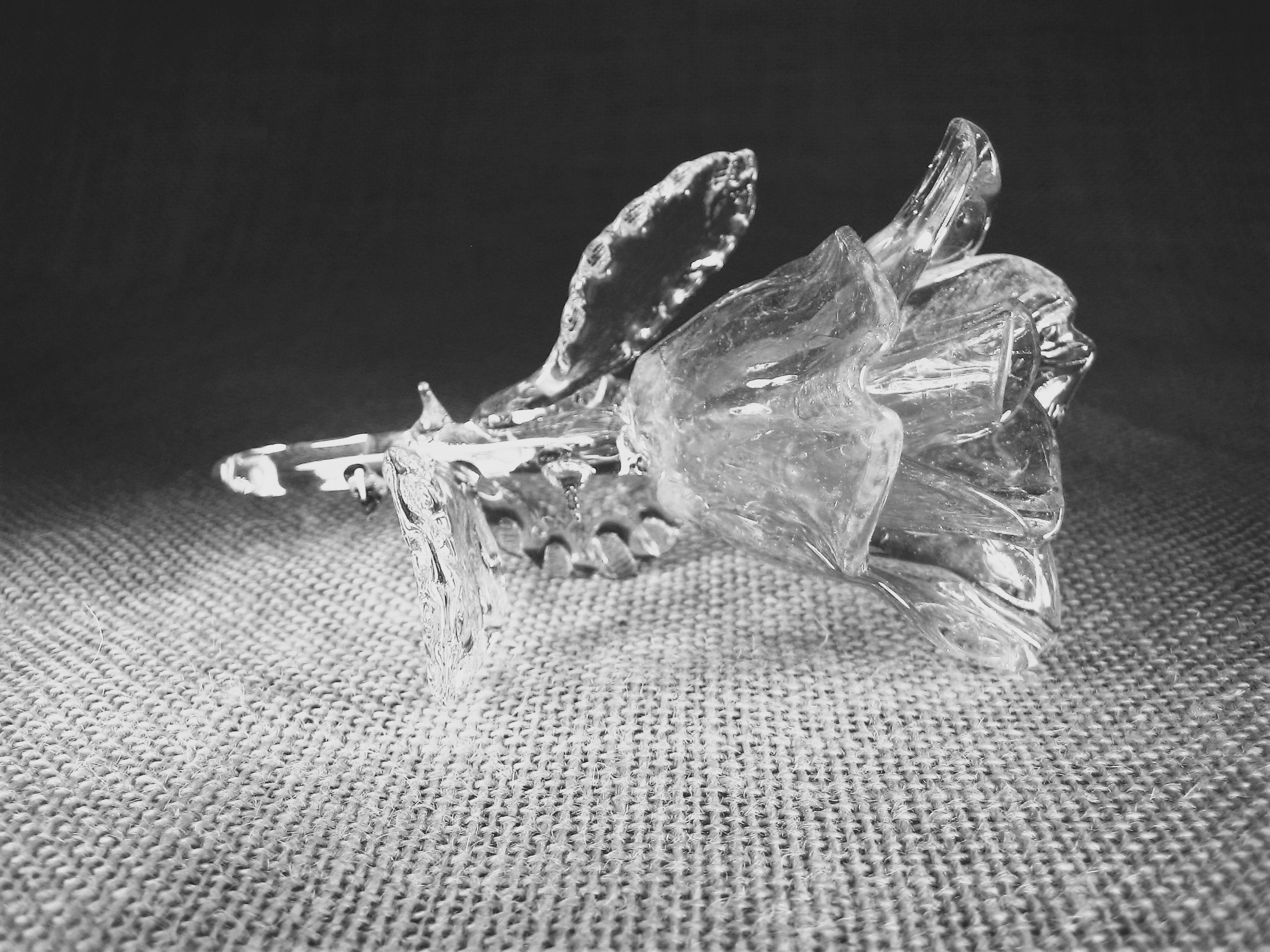 glasfotos_2013_031.jpg